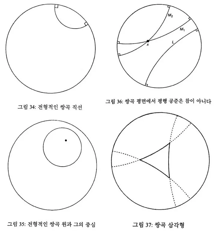 푸앵카레의 원반 모델